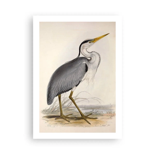 Poster - Farmecul unui stârc - 50x70 cm