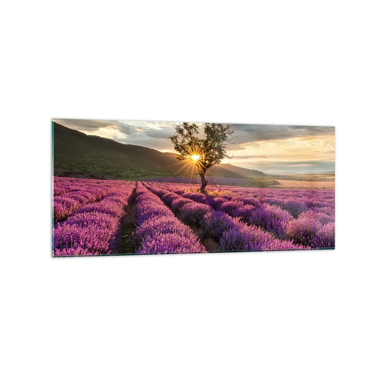 Tablou pe sticlă - Aroma în liliac - 120x50 cm