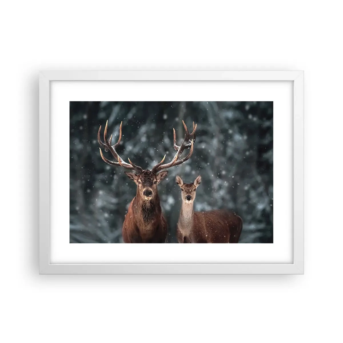 Poster în ramă albă - Stăpânul pădurii și soția sa - 40x30 cm