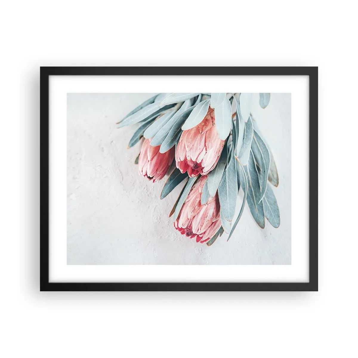 Poster în ramă neagră - Rușinate de propria lor frumusețe - 50x40 cm