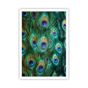 Poster - O privire cu ochi de păun - 70x100 cm