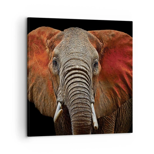 Tablou pe pânză - Sunt sălbatic, și tu? - 60x60 cm