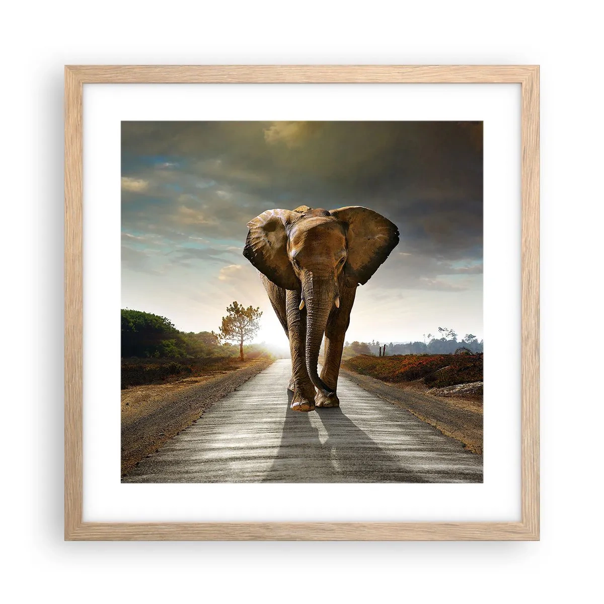 Poster în ramă de stejar deschis - Și-a pierdut cipicii... - 40x40 cm