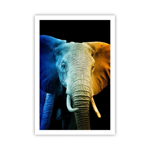 Poster - Excentric, nu ciudat - 61x91 cm