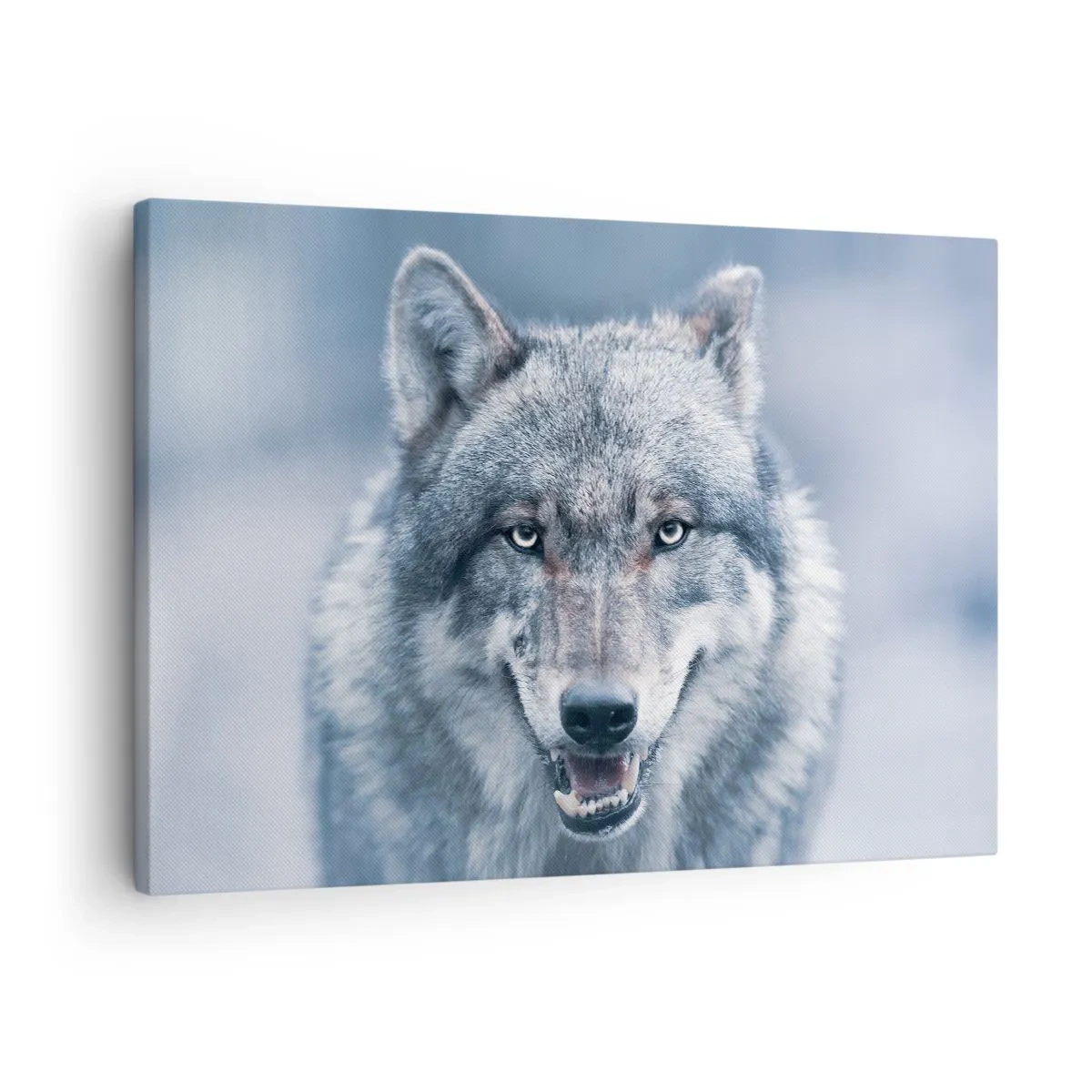Tablou pe pânză Canvas - Un lup cu o privire intensă într-un peisaj de iarnă - 70x50cm - Accepți provocarea? - Decorațiune modernă pentru perete pentru living și dormitor ARTTOR