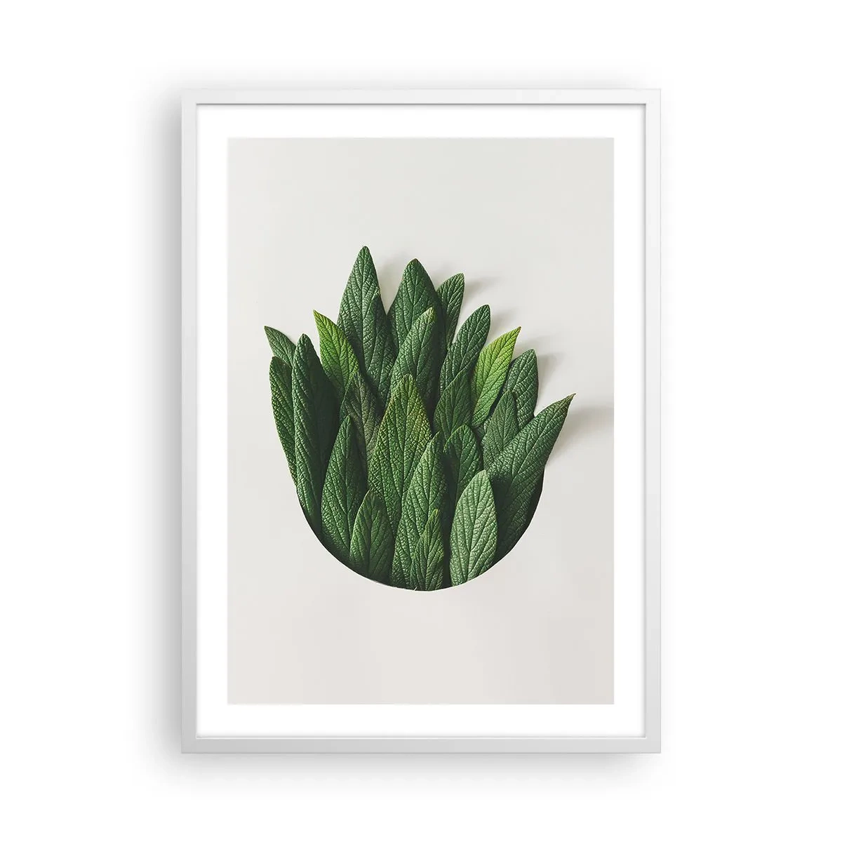 Poster în ramă albă - Curiozitatea nestăvilită - 50x70 cm