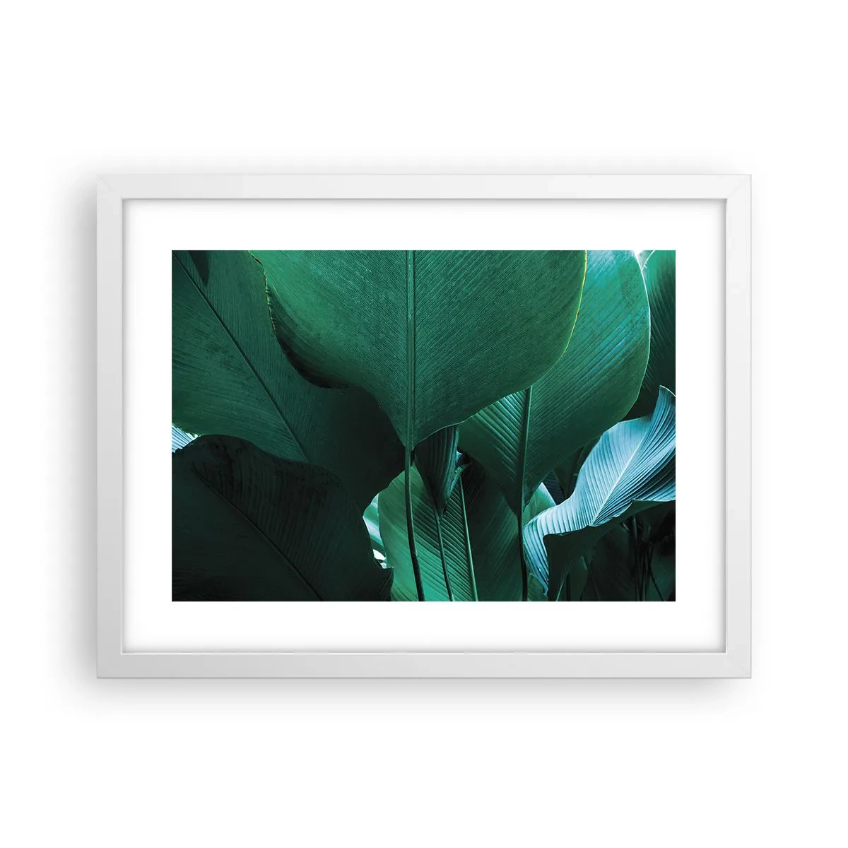 Poster în ramă albă - Cu frunza la lumină - 40x30 cm