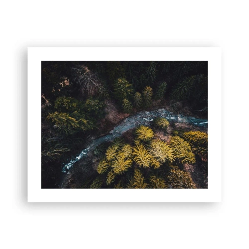 Poster - Rapid și mai rapid - 50x40 cm