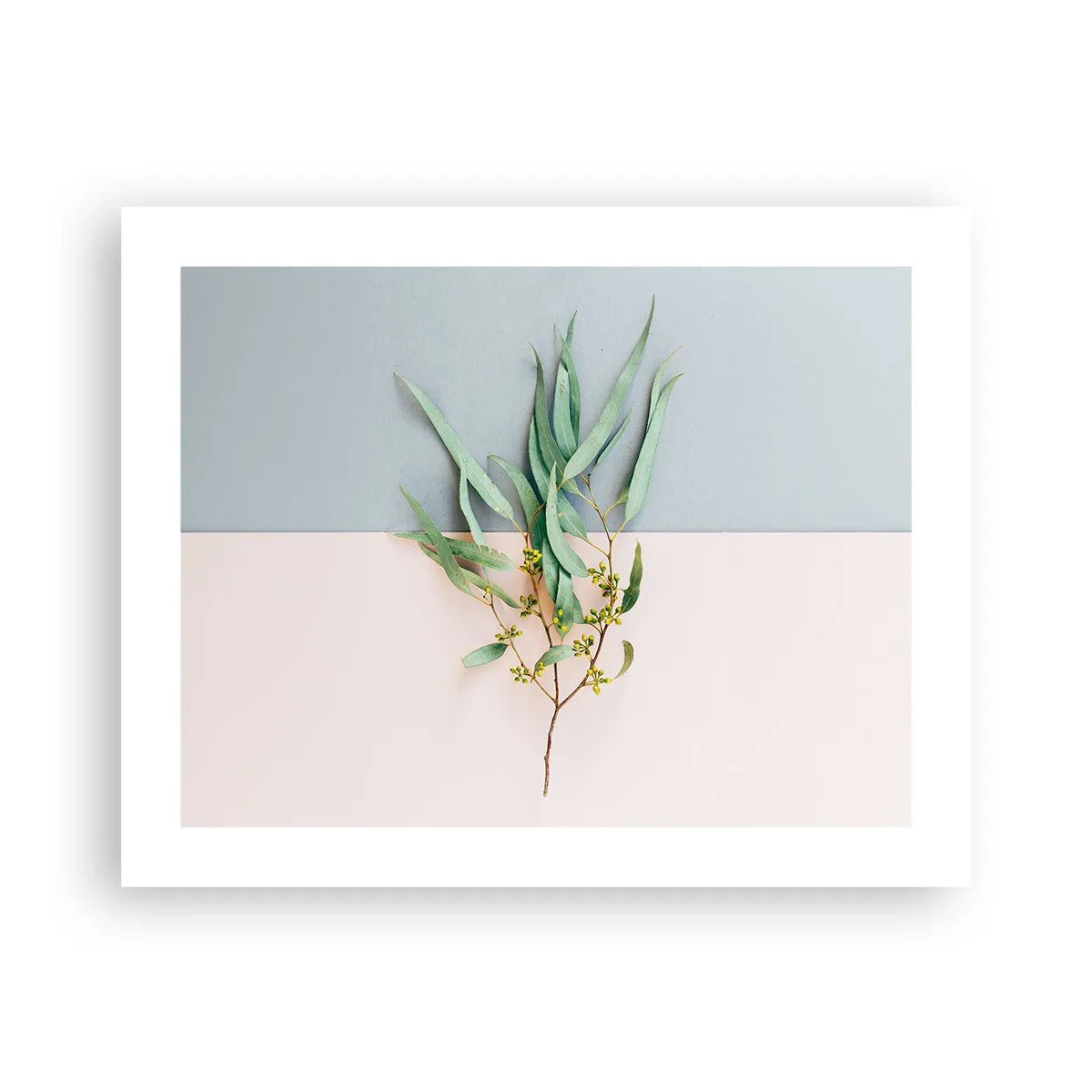 Poster - Subtilitate pastelată - 50x40 cm