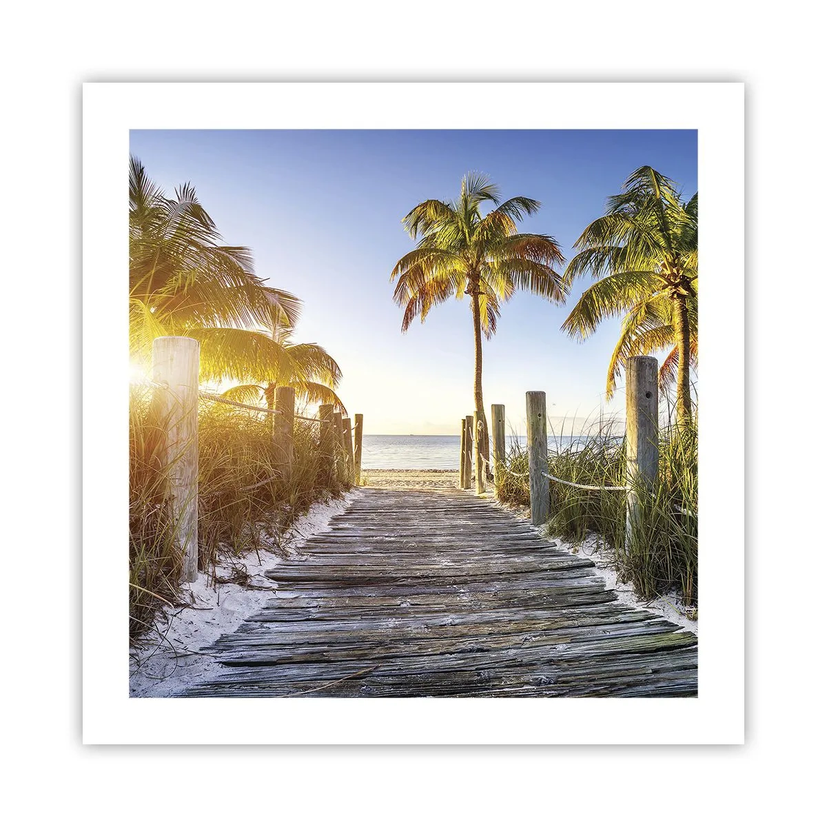 Poster - Direct în paradis - 50x50 cm