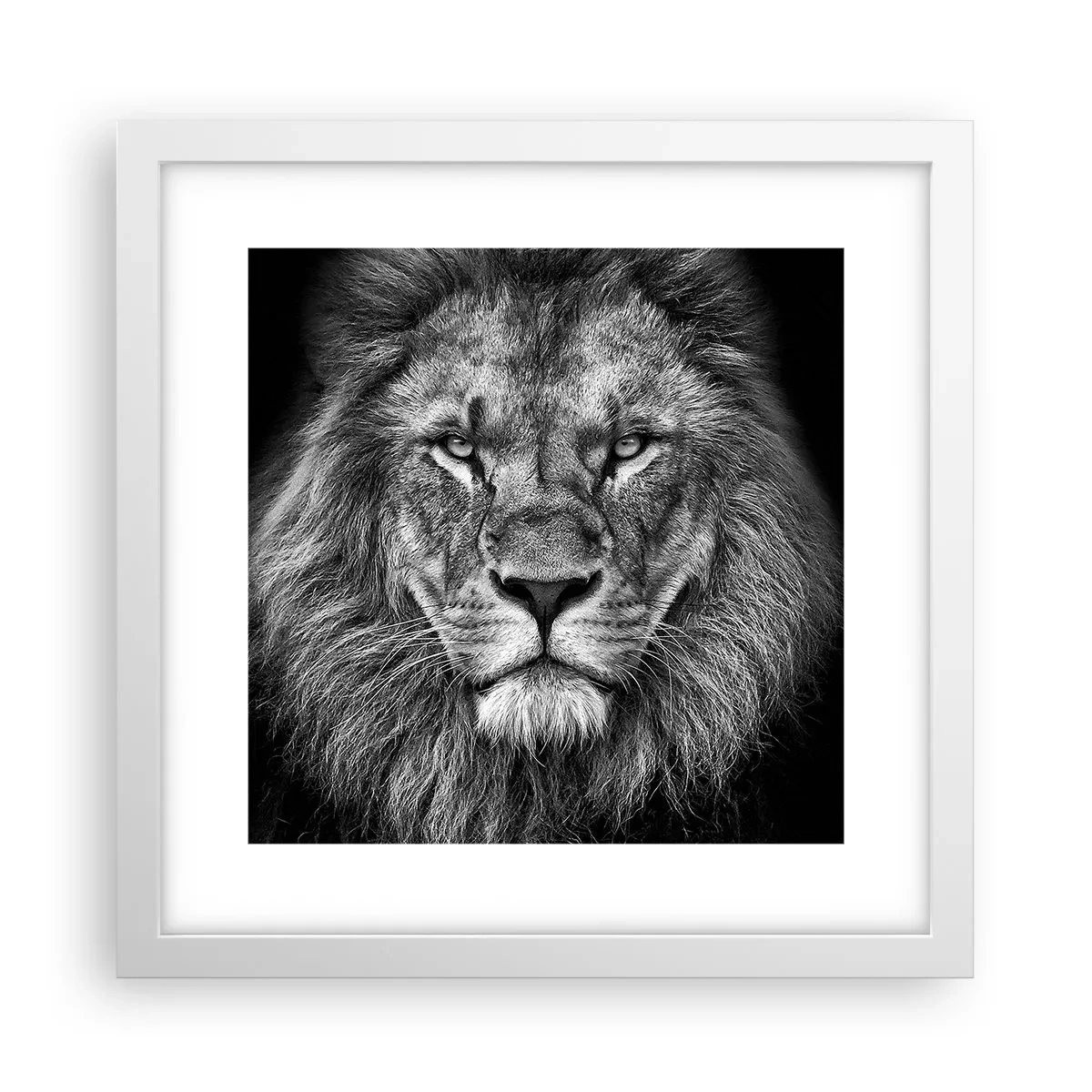 Poster în ramă albă - În ținuta de încoronare - 30x30 cm