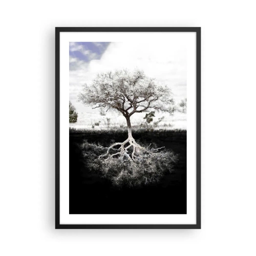 Poster în ramă neagră - Un copac minimalist cu un sistem radicular vizibil - 50x70cm - Descoperire - Decorațiune modernă pentru perete pentru living și dormitor ARTTOR