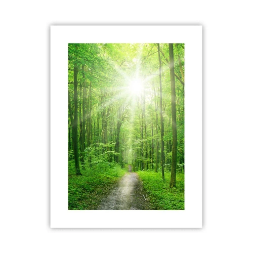 Poster - Catedrala verde - 30x40 cm