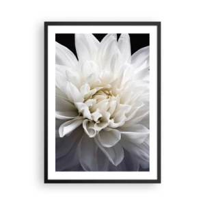 Poster în ramă neagră - Prim-plan al unei dalii albe pe un fundal întunecat - 50x70cm - Dimineața miresei - Decorațiune modernă pentru perete pentru living și dormitor ARTTOR