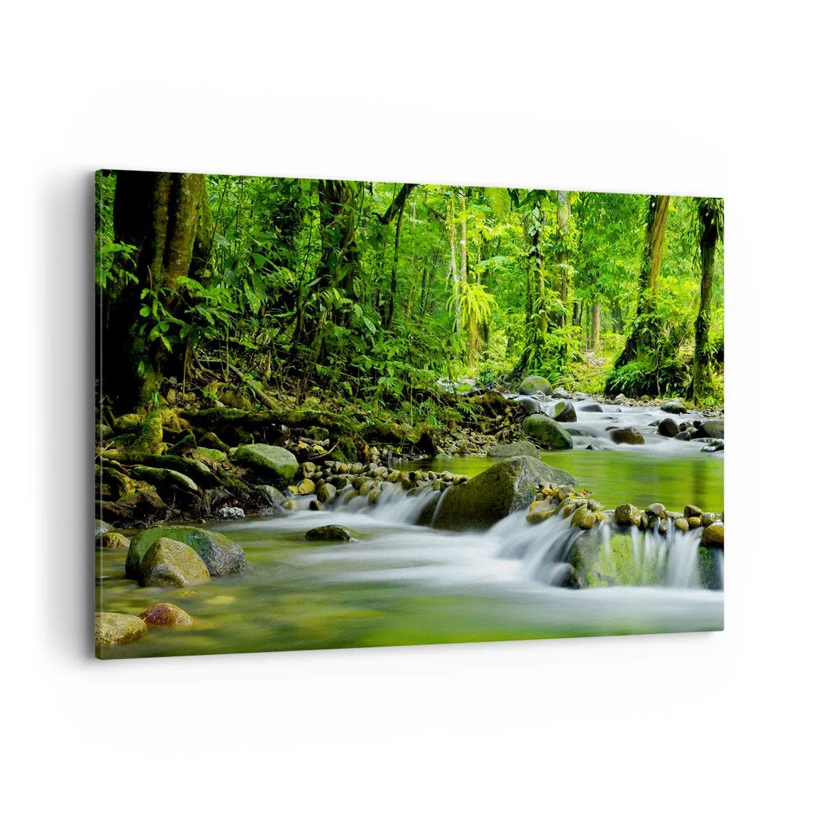 Tablou pe pânză - Să înotăm într-o mare de verde - 120x80 cm