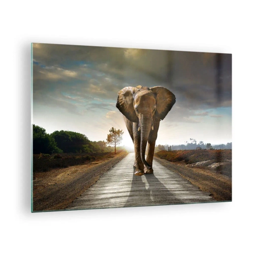 Tablou pe sticlă - Un elefant mergând pe drum la apus - 70x50cm - Și-a pierdut cipicii... - Decorațiune modernă pentru perete pentru living și dormitor ARTTOR