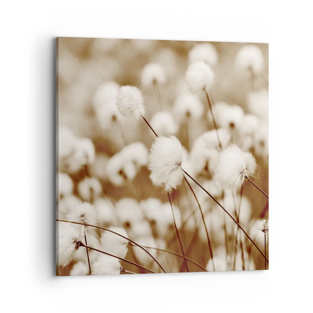 Tablou pe pânză - Câmp pufos - 70x70 cm