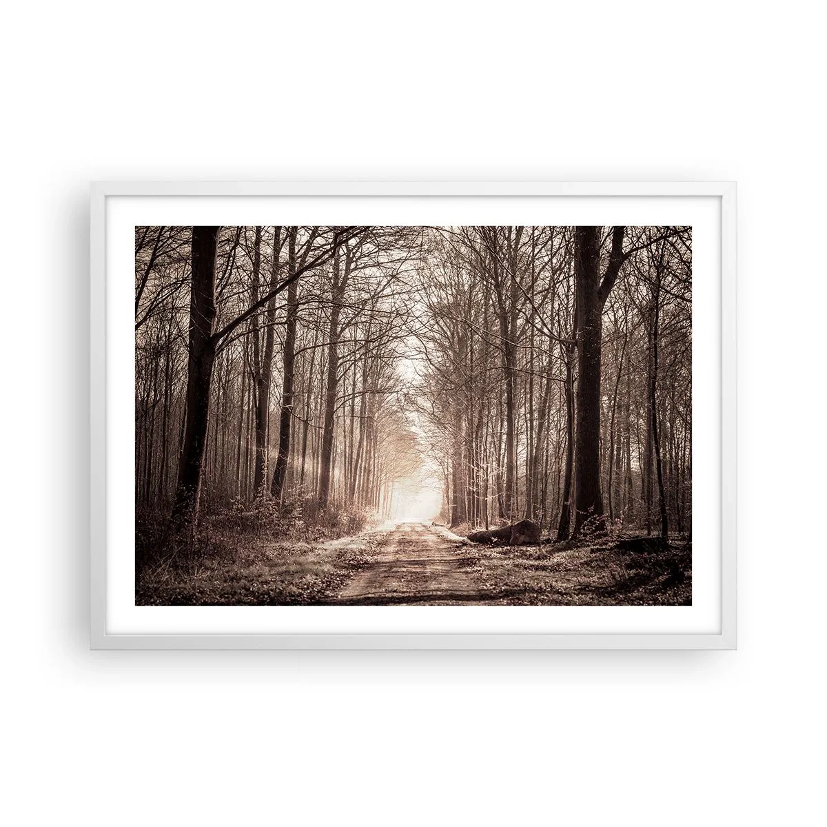 Poster în ramă albă - Catedrala Forestieră - 70x50 cm