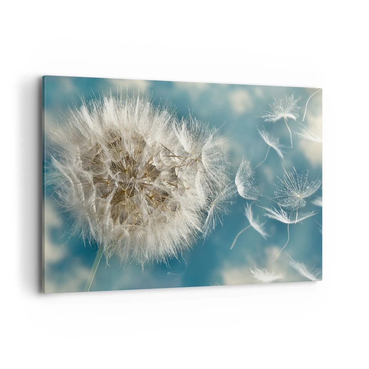 Tablou pe pânză - Respirația unui înger - 100x70 cm