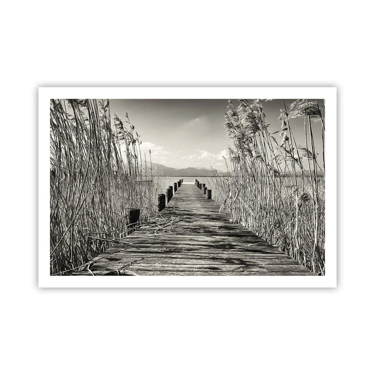 Poster - În intimitatea ierburilor - 91x61 cm