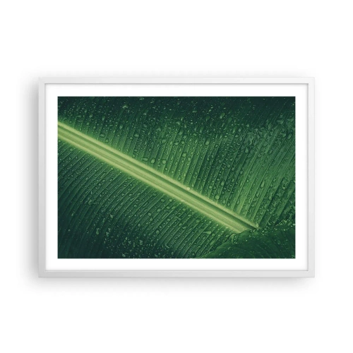 Poster în ramă albă - Structura verdelui - 70x50 cm