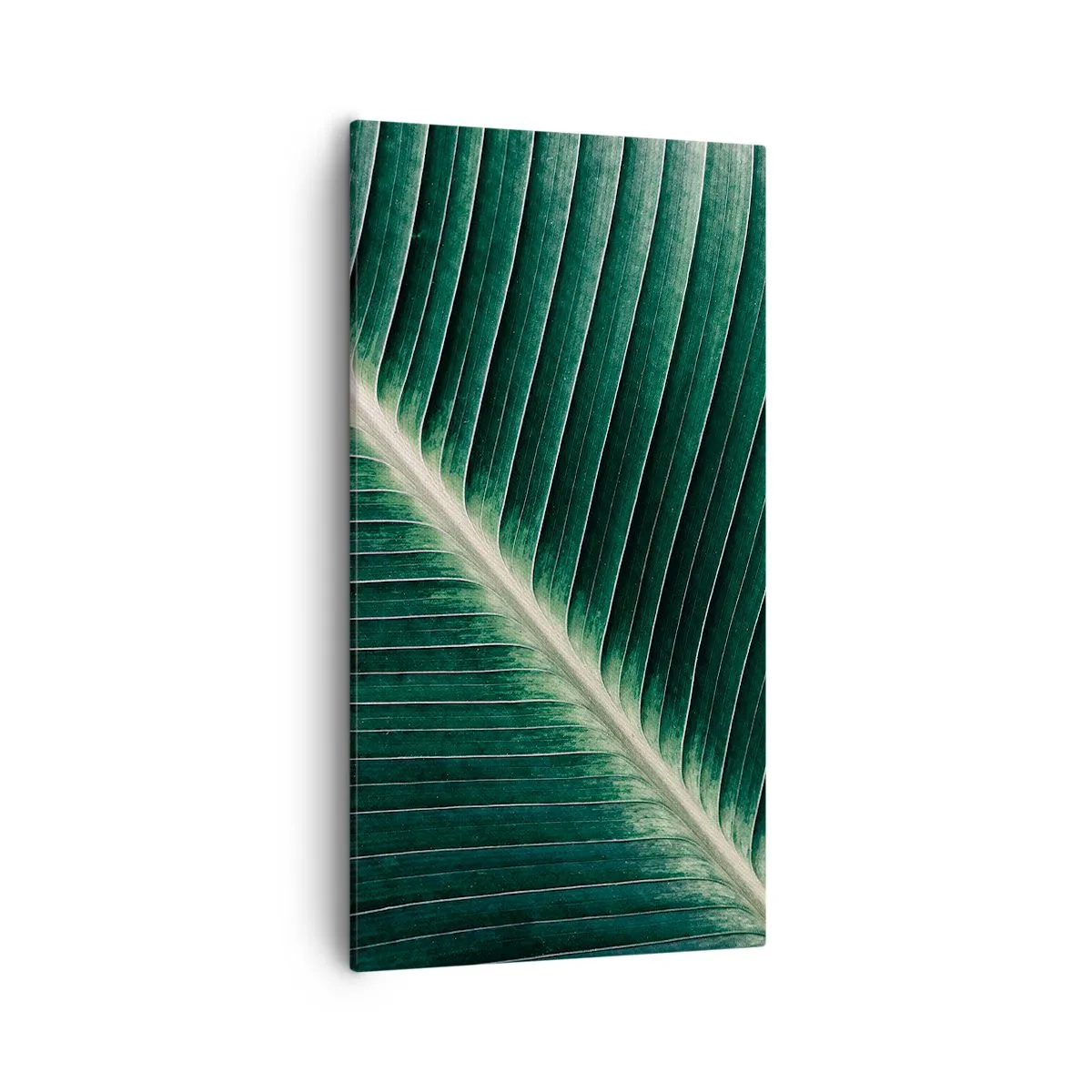 Tablou pe pânză - Ritmul naturii - 55x100 cm