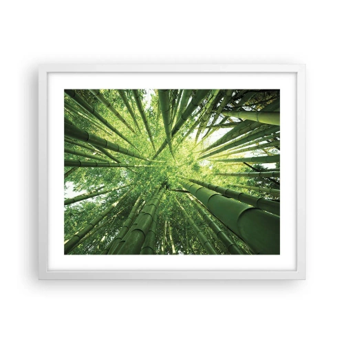 Poster în ramă albă - Într-o pădure de bambus - 50x40 cm