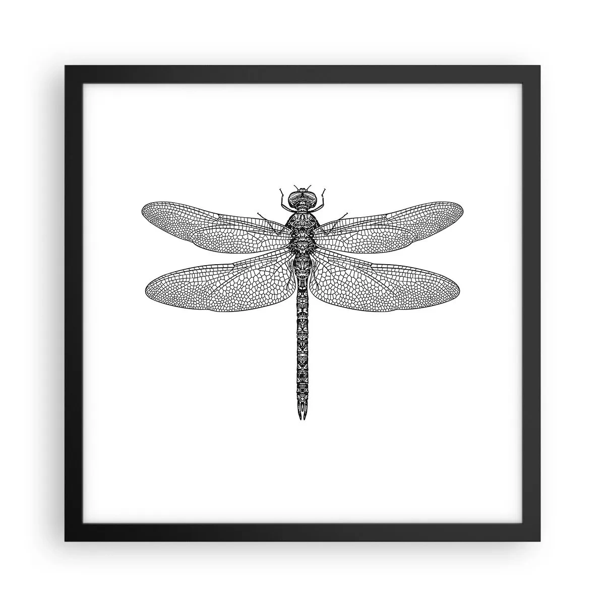 Poster în ramă neagră - Precizia naturii - 40x40 cm