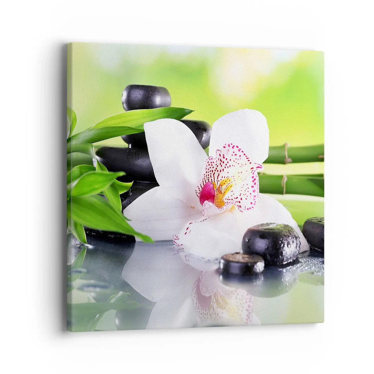 Tablou pe pânză - Prospețime răcoroasă - 40x40 cm