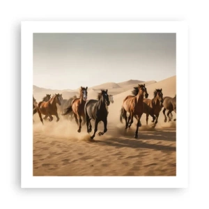 Poster - Liberi ca vântul - 50x50 cm