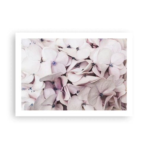 Poster - Într-un potop de flori - 70x50 cm