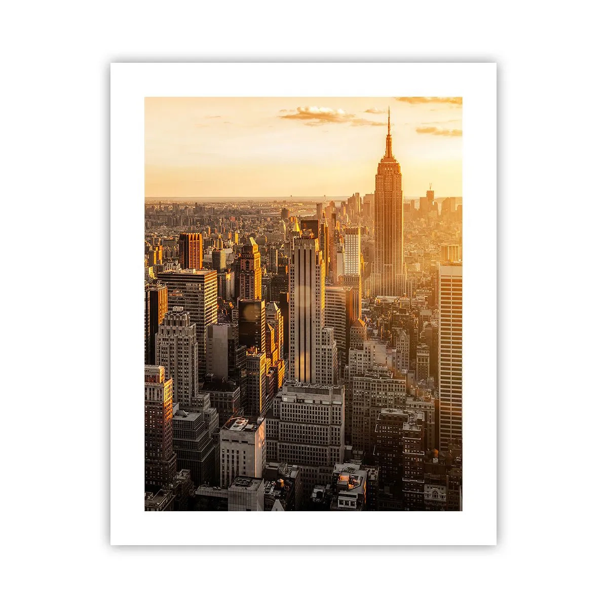 Poster - Crescând la soare - 40x50 cm