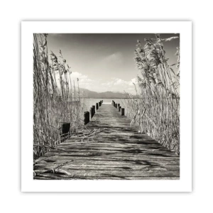 Poster - În intimitatea ierburilor - 50x50 cm