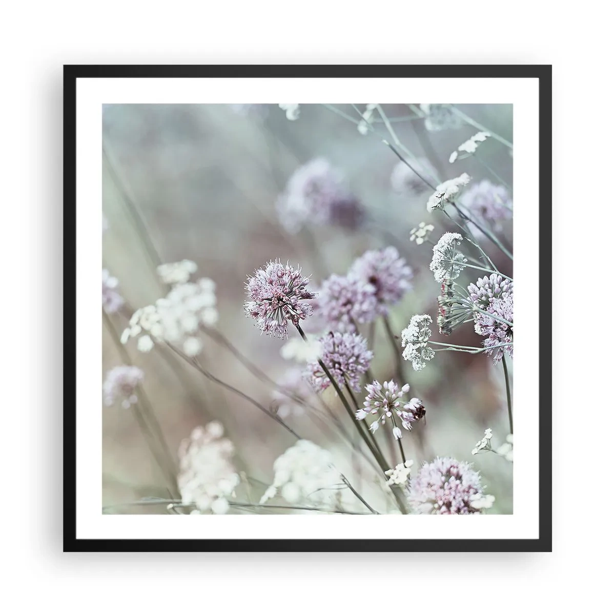 Poster în ramă neagră - Ierburi dulci filigranate - 60x60 cm