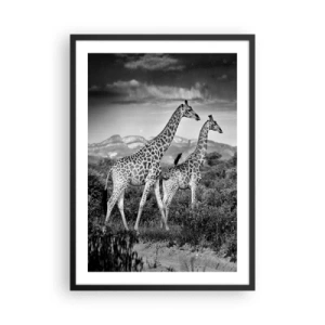 Poster în ramă neagră - Portret alb-negru de girafe pe fundalul unui peisaj african - 50x70cm - Clasele superioare din Africa - Decorațiune modernă pentru perete pentru living și dormitor ARTTOR