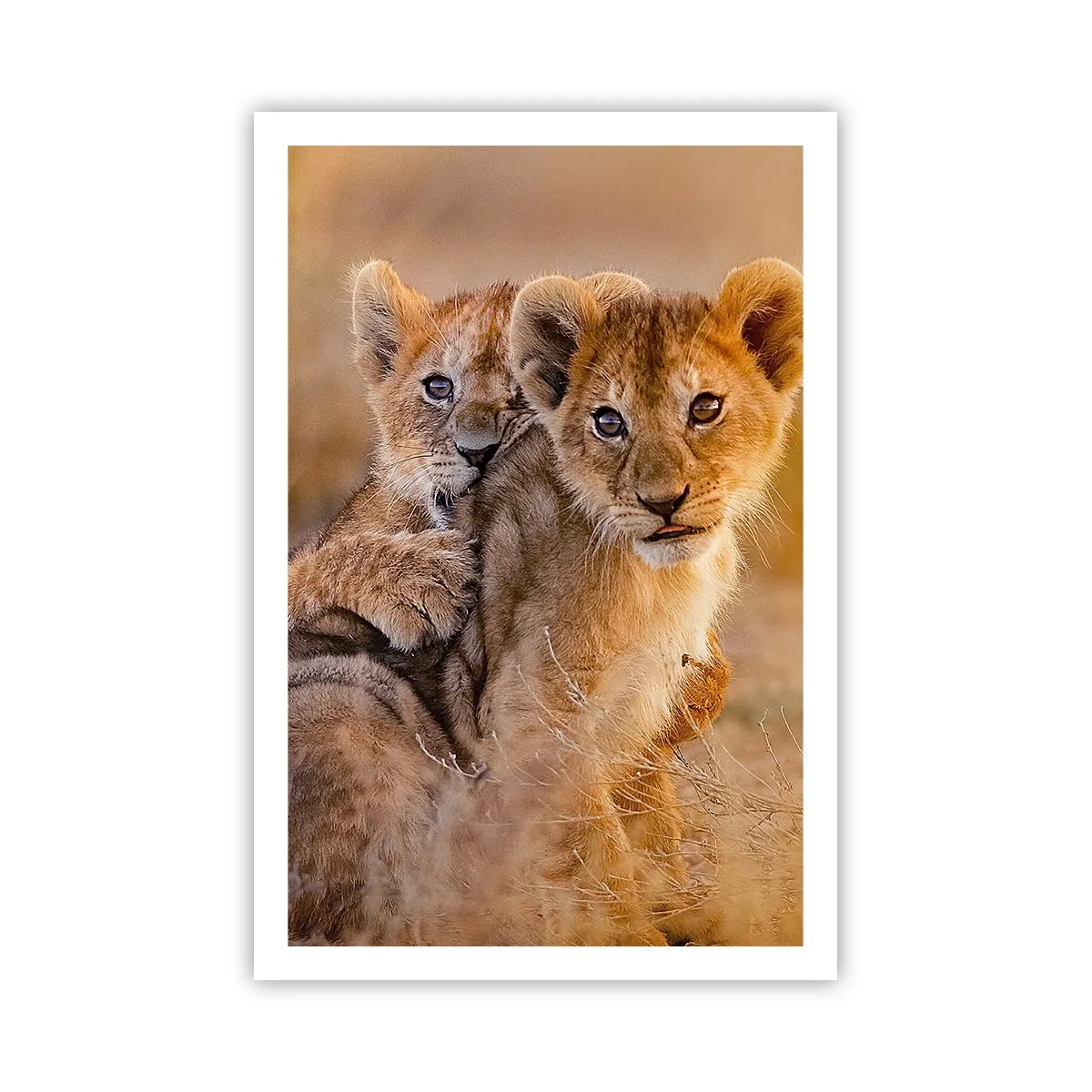 Poster - Nu deranjați! Ne distrăm - 61x91 cm