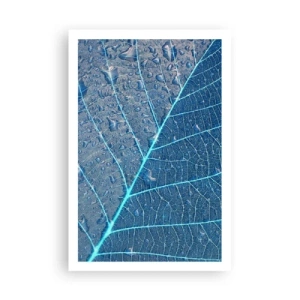 Poster - Viața în albastru - 61x91 cm