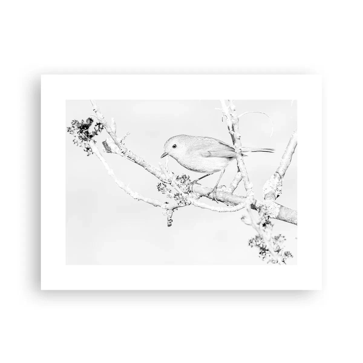 Poster - Dimineață de iarnă - 40x30 cm