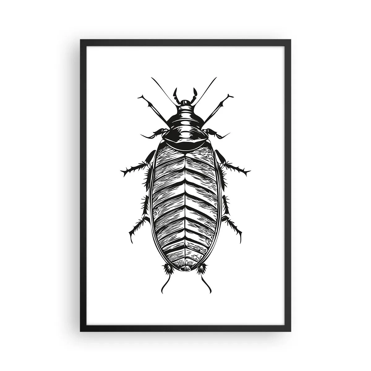 Poster în ramă neagră - Ilustrație alb-negru a unei insecte într-un stil de retail - 50x70cm - Ce specimen! - Decorațiune modernă pentru perete pentru living și dormitor ARTTOR