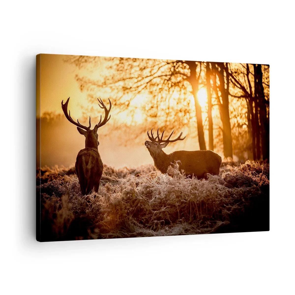 Tablou pe pânză Canvas - Două căprioare la apus într-un peisaj de iarnă - 70x50cm - Visul unui vânător - Decorațiune modernă pentru perete pentru living și dormitor ARTTOR