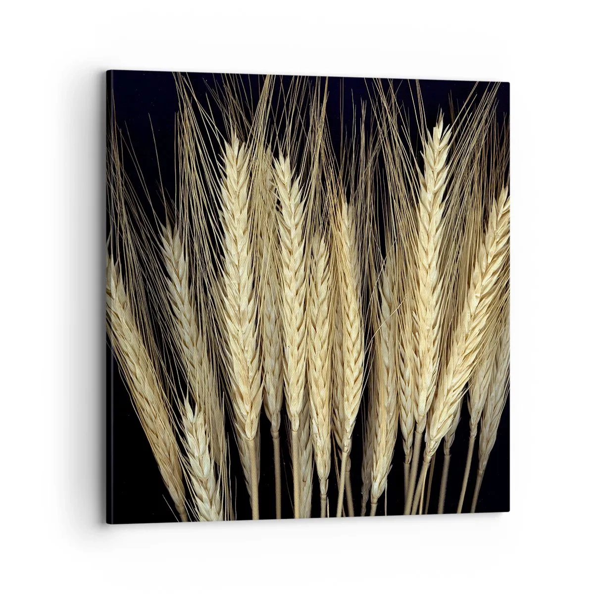 Tablou pe pânză - Magie rustică - 70x70 cm