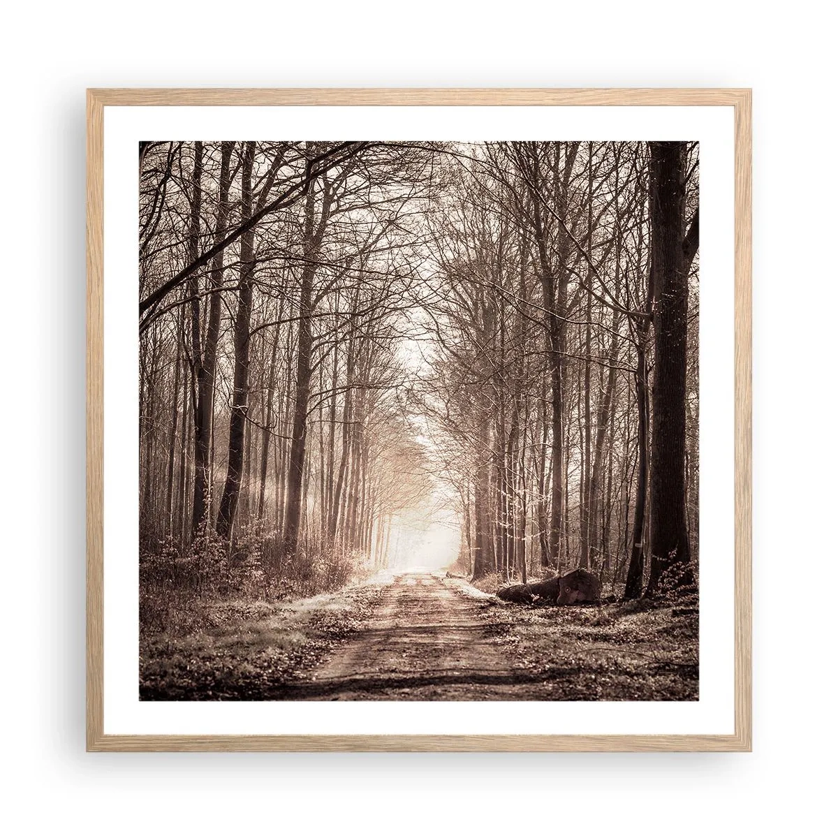 Poster în ramă de stejar deschis - Catedrala Forestieră - 60x60 cm