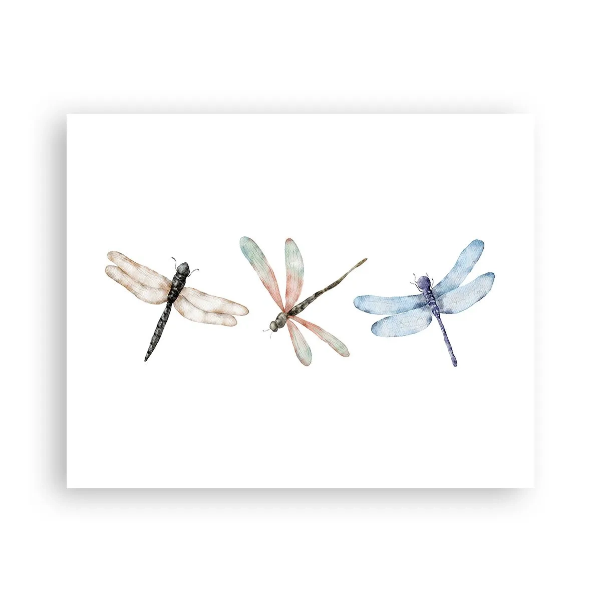 Poster - Libelule imponderabile - 50x40 cm