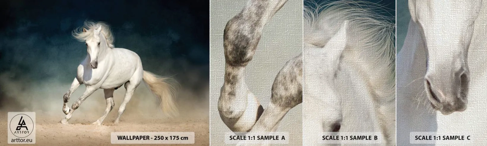 Mostră tapet Premium Canvas - Libertate în stare pură - Cal, Animal, alb - 100x30 cm