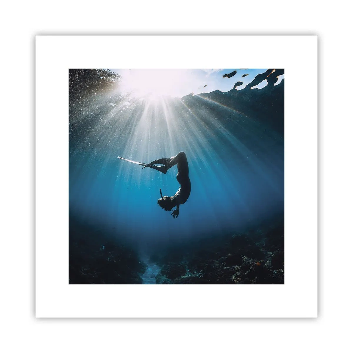 Poster - Dans subacvatic - 30x30 cm