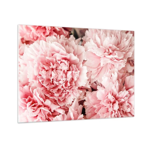 Tablou pe sticlă - Prim-plan cu bujori roz în plină floare - 70x50cm - Visul roz - Decorațiune modernă pentru perete pentru living și dormitor ARTTOR