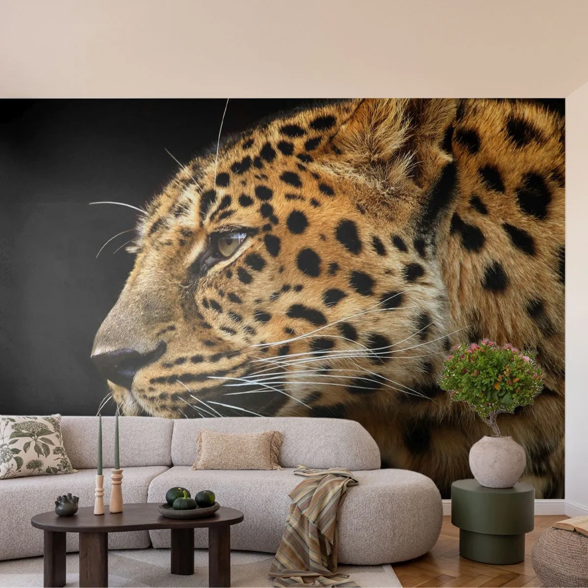 Tapet Premium Sand - Calm, concentrat, pregătit - Animale, leopard, Africa - 100x70 cm