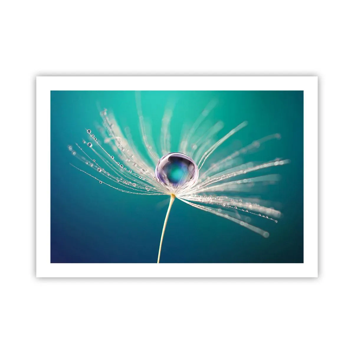 Poster - Moment mistic - 70x50 cm