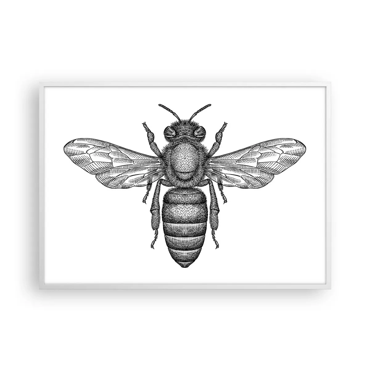 Poster în ramă albă - Portret de insectă - 100x70 cm