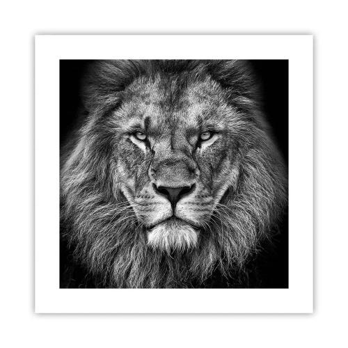 Poster - În ținuta de încoronare - 40x40 cm